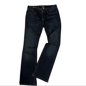 Ann Taylor Loft Faded Bootcut Blue 2P Petite Denim Jeans